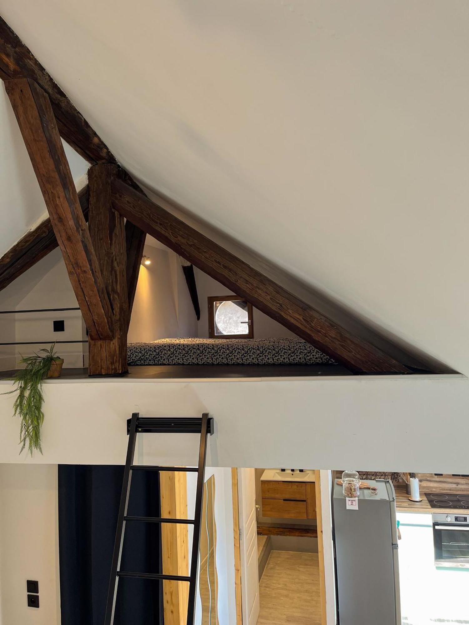 Cocon Sous Les Toits Lejlighed Albertville Eksteriør billede