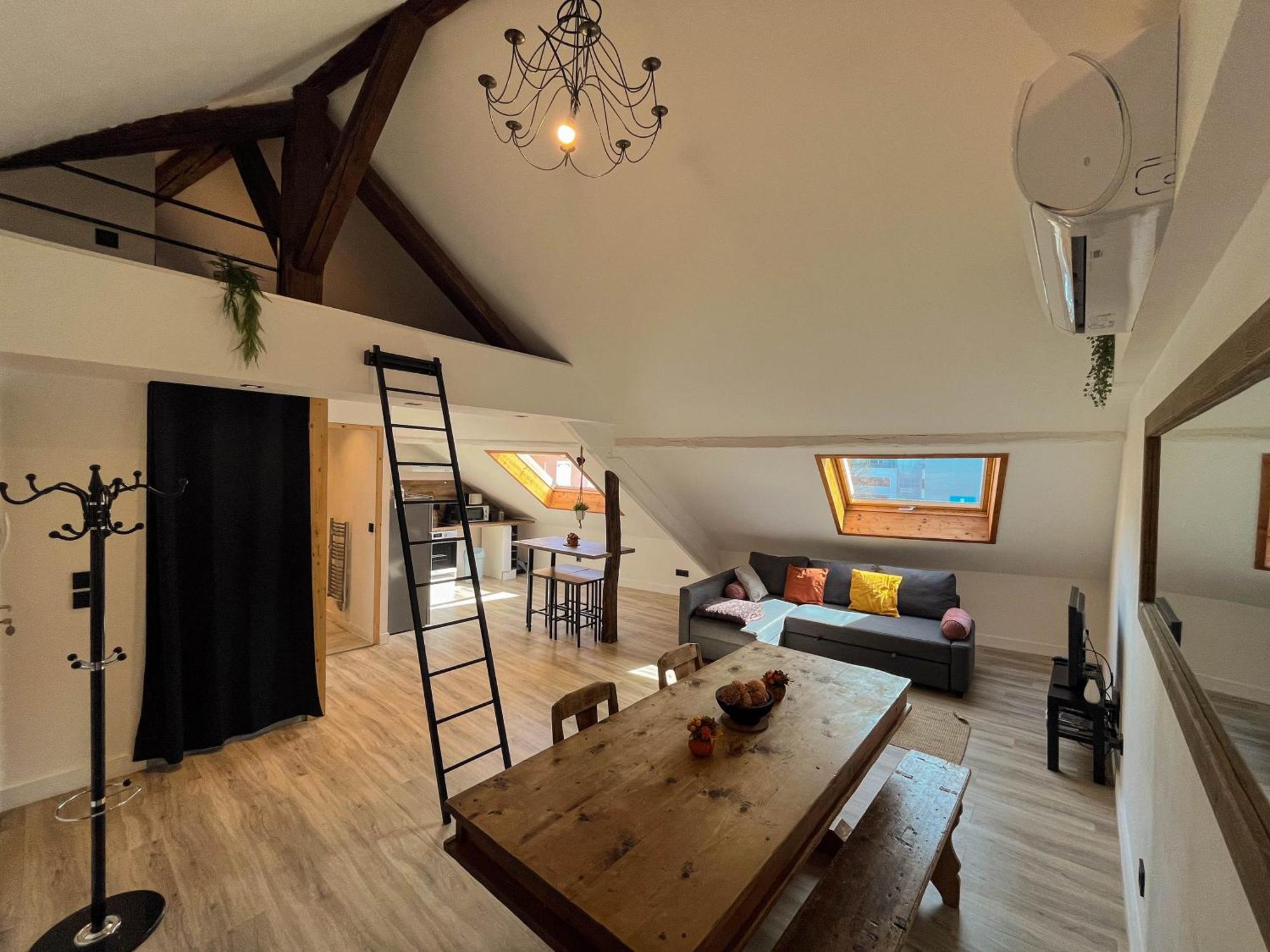 Cocon Sous Les Toits Lejlighed Albertville Eksteriør billede