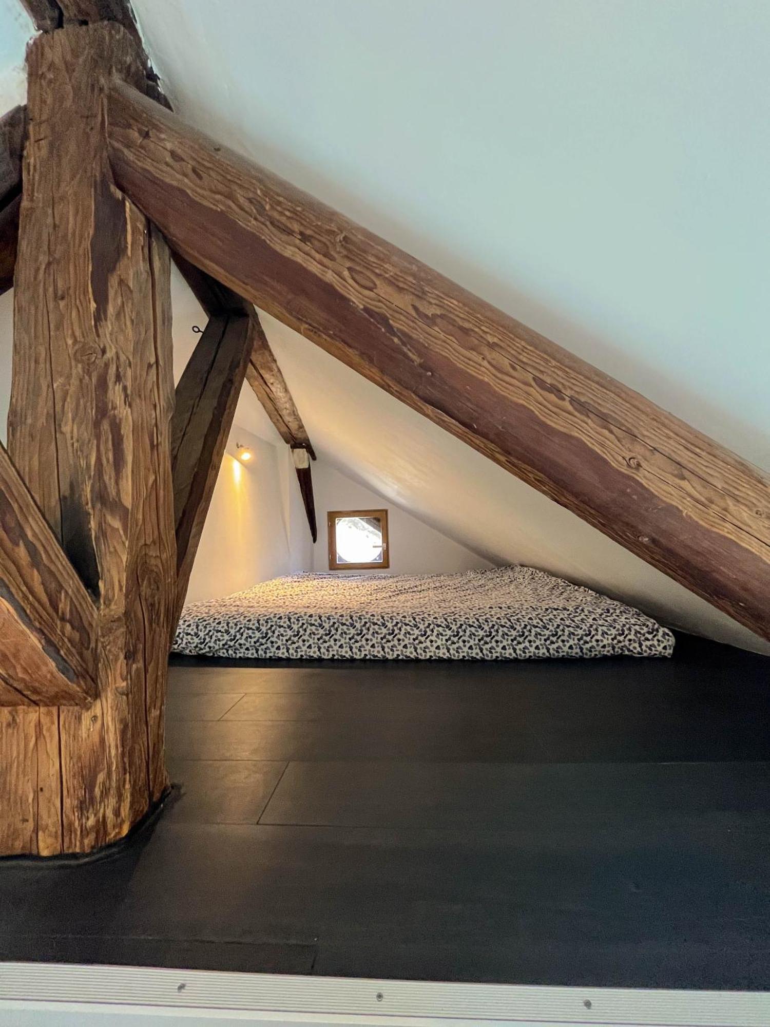 Cocon Sous Les Toits Lejlighed Albertville Eksteriør billede